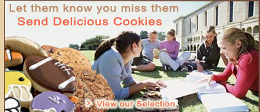 Cookie Gift Selection