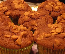 Gluten Free Cocoa Cupcakes