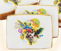 Rio Party Animal Cookies