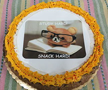 Teddy Bear Cookie